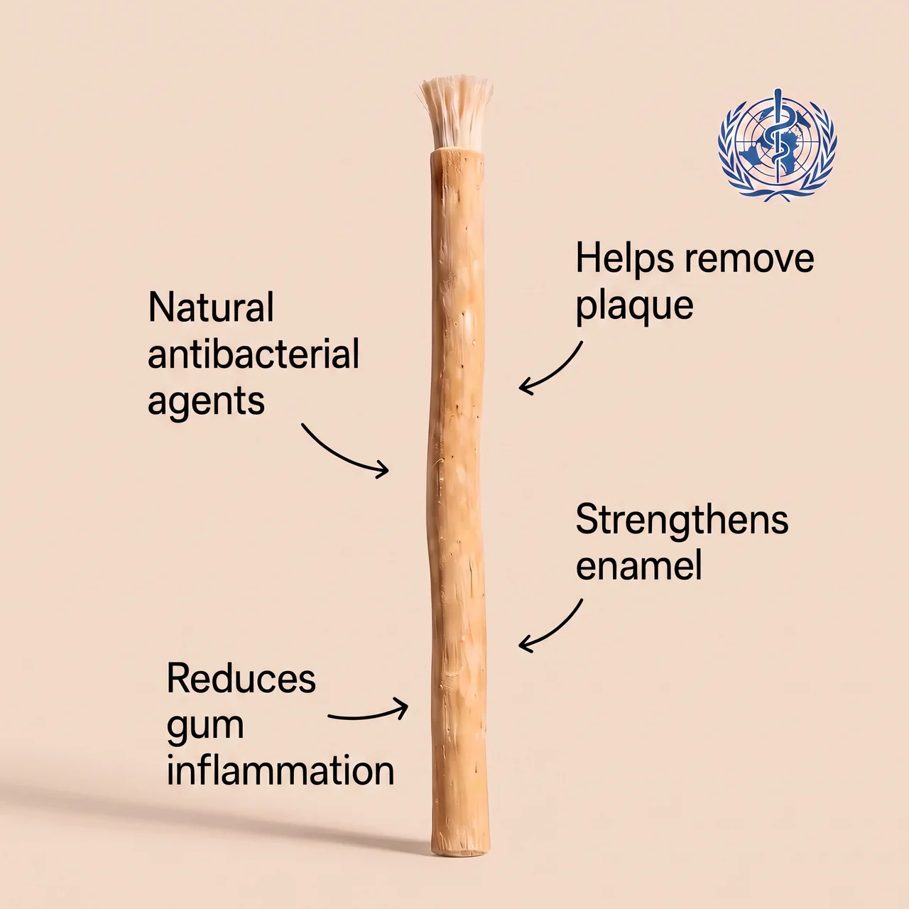 The Miswak Co.