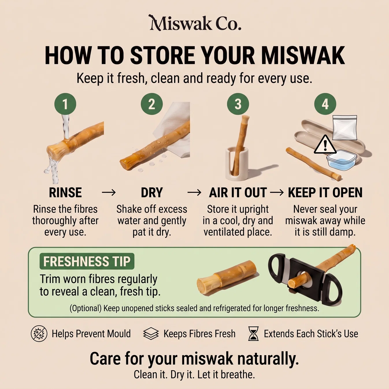 The Miswak Co.